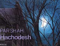 Torah Portion: Hachodesh